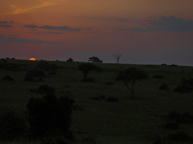 African sunset over savanna