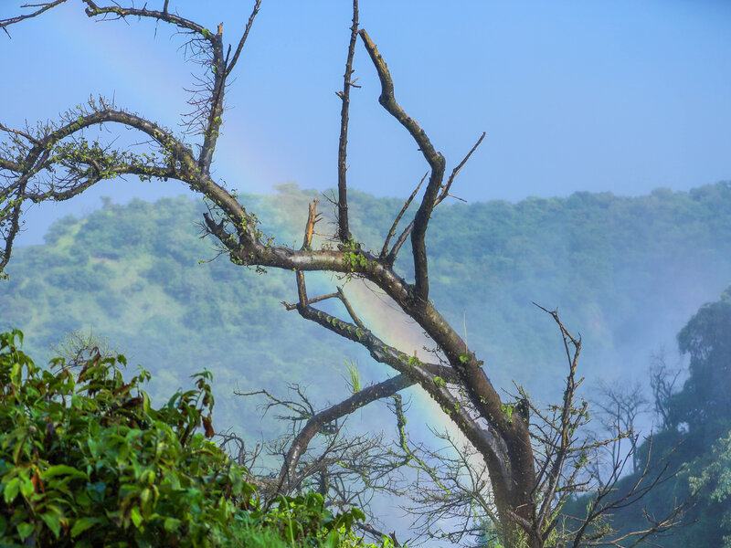 Murchison Falls with rainbow